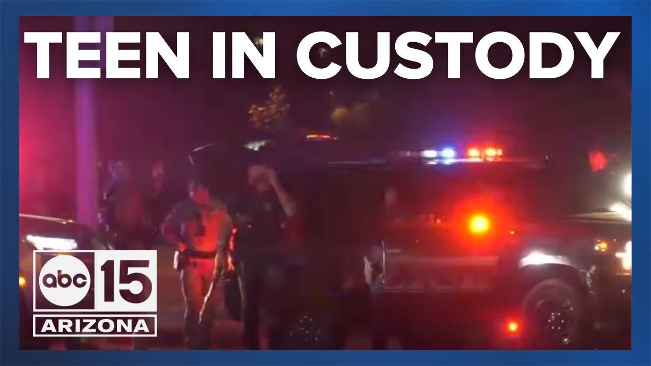 Teen in custody after allegedly hitting police car, leading officers on ...