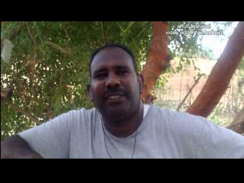 الفنان حسن شكرالله