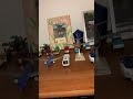 My model airplane collection