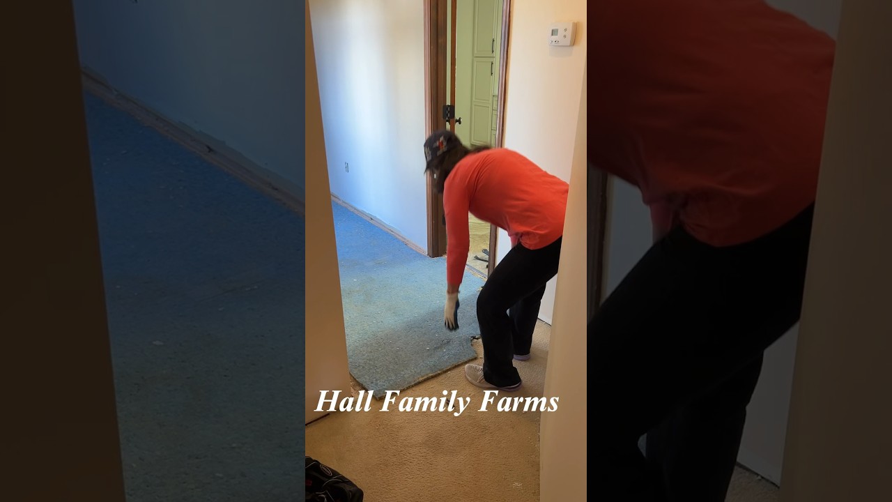 30-year-old Carpet Padding Removal😲😳 