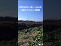 軽装弓騎兵に襲われる歩兵の気持ちがわかる動画