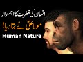 Insaan ki fitrat ka eham raaz imam ali as ne batadia  human nature  insan ki pehchan  mehrban ali