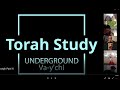 Torah Study -- 28 December 2020 -- Va-y'chi  (Jacob Lived)