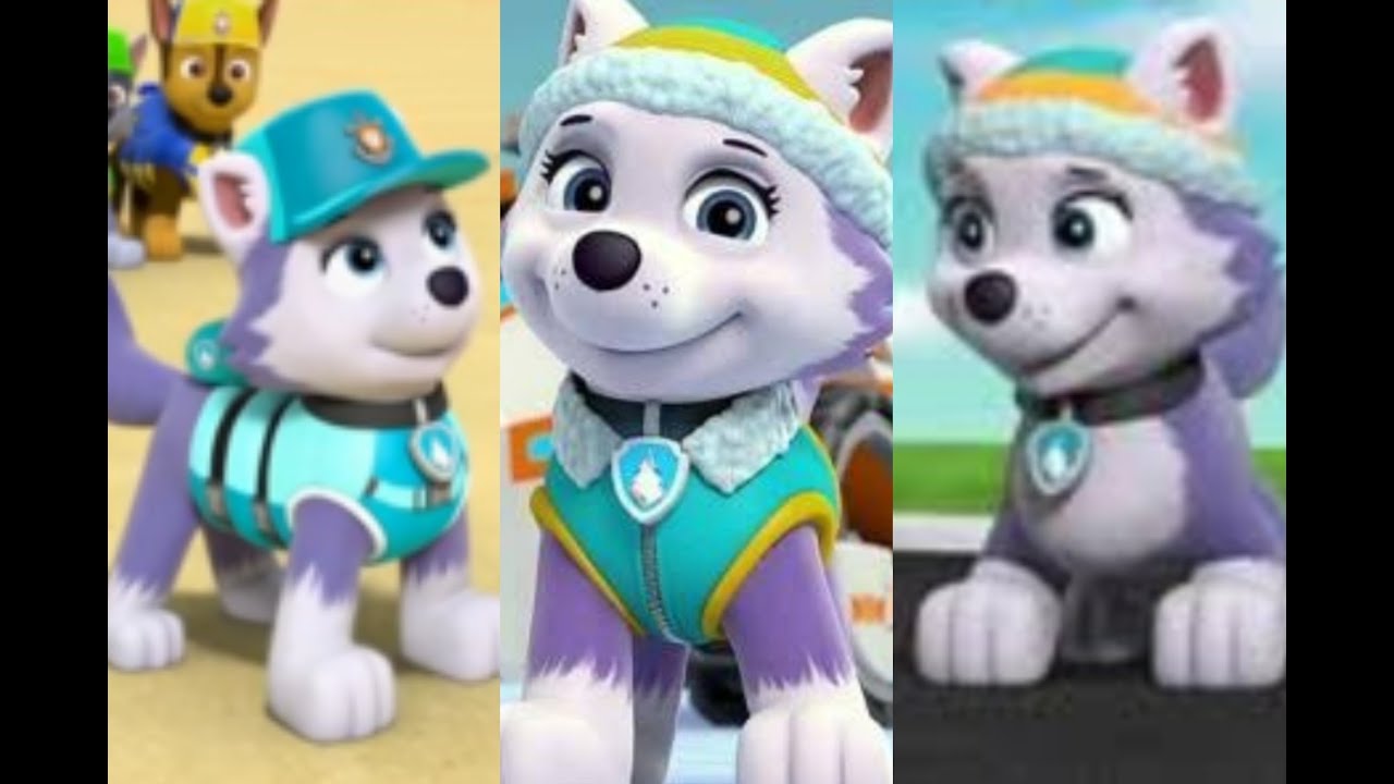 Everest paw patrol - drawbasta