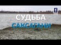 Зелёная стратегия: Судьба Саксагани