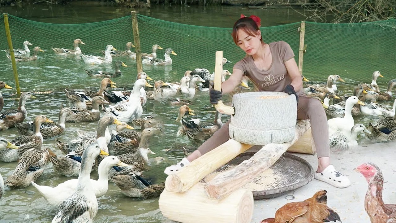 Harvesting Ducks & Building Stone Corn Mill | Off-Grid Farm Life