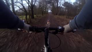 First time bikejoring with Remus by the Dutch Sighthound 144 views 3 years ago 2 minutes, 43 seconds