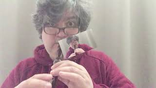 Galop Infernal (Can - Can) From Orphée Aux Enfers By Jacques Offenbach. Miguel On Recorder.