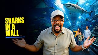 Dubai Aquarium and Mall Tour: Is This Even Real?