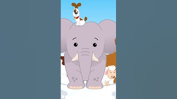 LOS ANIMALES SE BALANCEABAN #shorts #plimplim #cancionesinfantiles