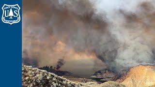 Celebrity Fire Effects Information System Wealth