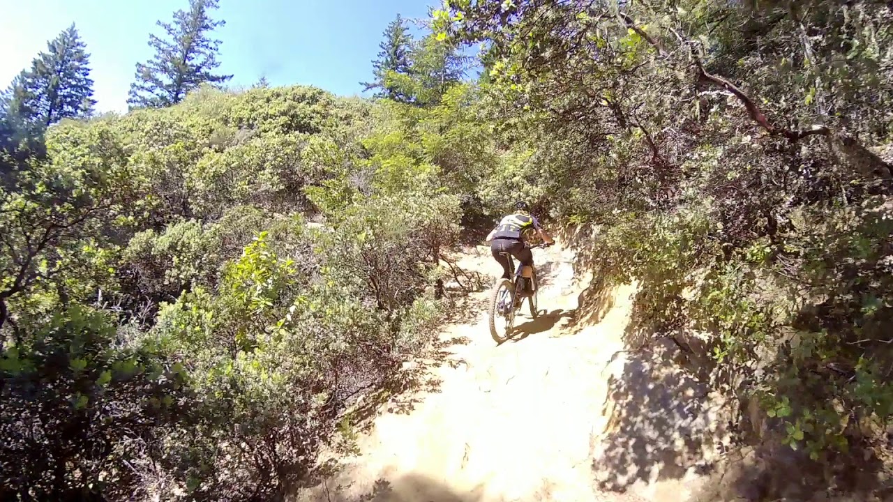 Miro on Reso - Rylo360