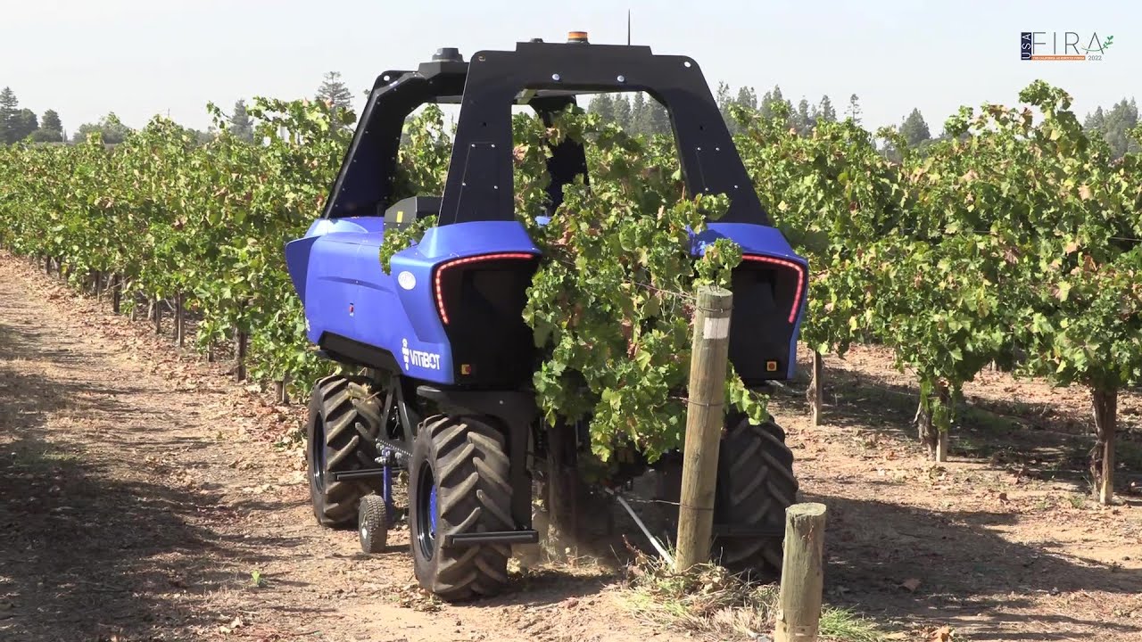 Video thumbnail: VitiBot Bakus vineyard robot