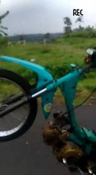 story wa wheelie