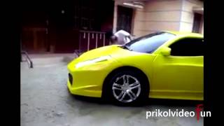Лучшие приколы и Неудачи 2013-2014 ПодПивко Лучшие приколы и Неудачи 2013-2014 ПодПивко