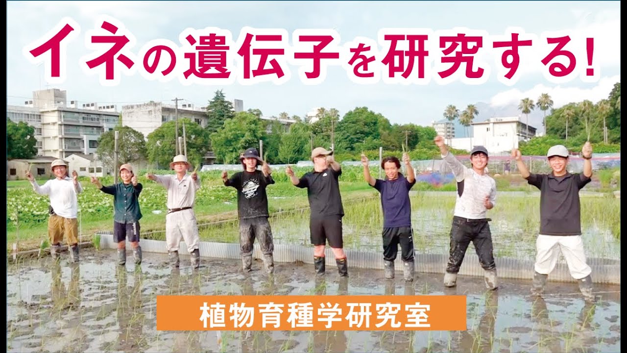 植物育種学研究室　一谷勝之先生