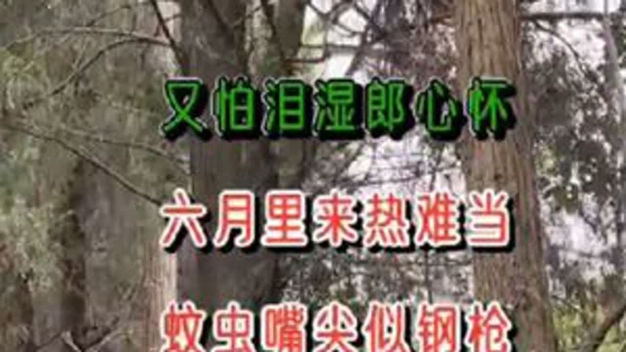 网友们新年好，给大家带来一首黄梅戏《孟姜女》十二月调。完整版。九分16秒。感谢大家聆听