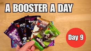 A Booster a Day - Day 9 | Lorwyn Eclipsed