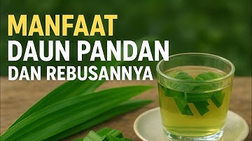 MANFAAT DAUN PANDAN DAN REBUSANNYA UNTUK KESEHATAN 