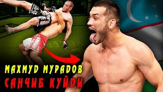 Ўзбегим олға🇺🇿 МАХМУД МУРАДОВ ЯНЧИБ ТАШЛАДИ / Новый бой Махмуд Муродов vs Криштоф Йотко ТАХЛИЛ