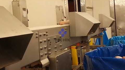 Techik Multi sorting Checkweigher---Pork leg