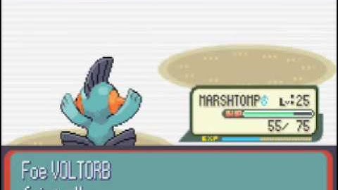 Pokemon Ruby: Watson