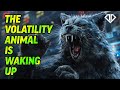 The volatility animal is waking up