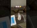 だいふく先生の秘密基地 2025年の締めくくり