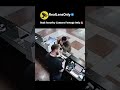 Real Security Camera Footage Only
