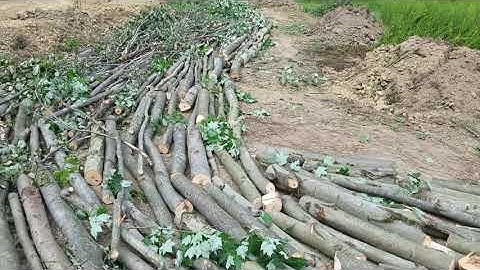 Hugelkulture Keyhole Garden with Swale