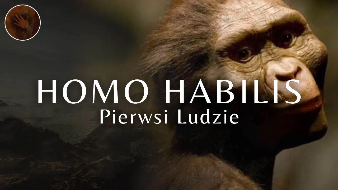 Homo Habilis: Pierwsi 'Ludzie' – Dokument o Prehistorycznych Ludziach