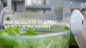 GNA - Horizontal flowpack machine mod. SQUALO