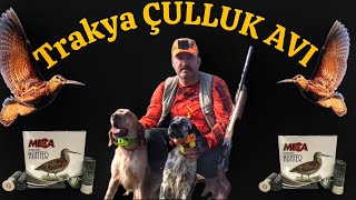 ÇULLUK AVI 😎 μπεκάτσα #woodcockhunting #beccaccia #çulluk