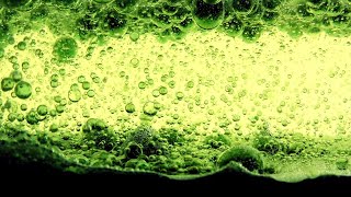 Water Bubbles Ink Behind Glass 1 Stock Video