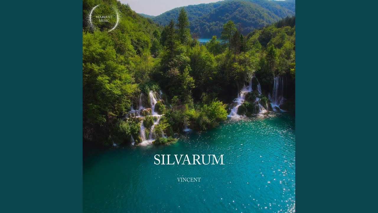 Watch Silvarum on YouTube Watch Silvarum on YouTube