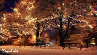 Vết Chân Thời Gian | Lâm Hùng - Hoàng Châu