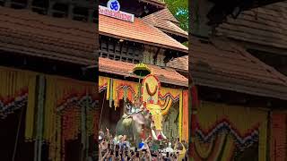 Trissur Pooram Festival🐘 🌼 #Trissurpooram  #Kerala #Biggestfestival #Thelastcholas #Trending