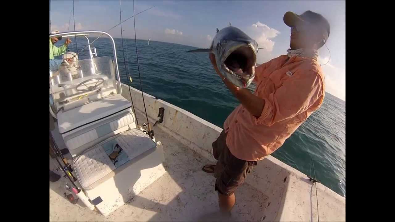 BIG KING FISH MACKEREL AT THE PORT MANSFIELD JETTY YouTube