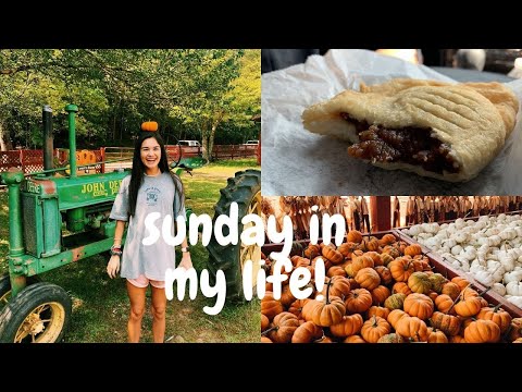 VLOG: fall festivities + day with family!