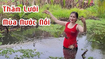 Bắt Cá Miền Tây / Buổi Sáng Thăm Lưới  / Mùa Nước Nổi / Cảnh Quê Rất Yên Bình