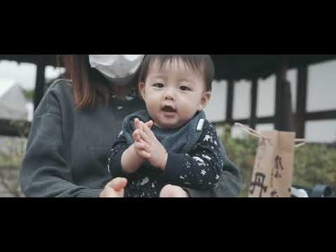 Tofukuji, Kyoto in Autumn Cinematic Vlog