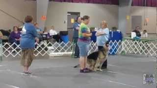 2011 UKC Obedience All Stars - 2012 Premier | United Kennel Club