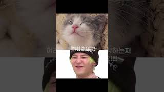 이정도면 똑같은 동물 아닌가요??????레전드네요 #지디 #지드래곤 #G-DRAGON #고양이 #gd #gdragon
