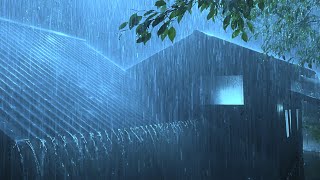 Beat Stress \& Goodbye Insomnia in 3 Minutes with Heavy Rain \& Thunder Sounds on a Tin Roof at Night