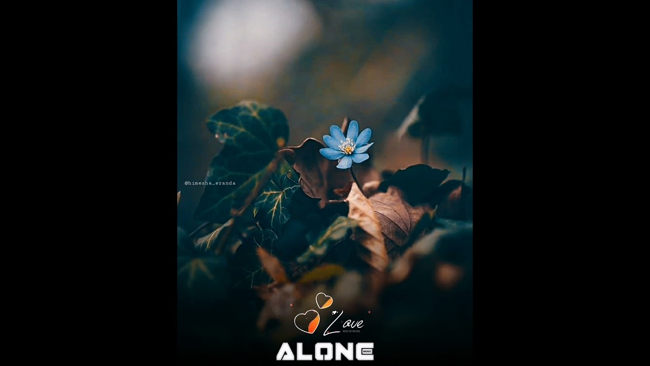 Pera Dinayaka Ma (පෙර දිනයක මා) Sathushka Praveen | Official Whatsapp Status Video