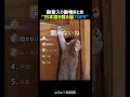 日本語を喋る猫TOP5 🐱🗣️