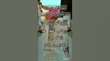 سورة آل عمران الآية ٤٦
