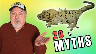 Crested Geckos Myths that will harm your pet!     #crestedgecko by Supreme Gecko 1,134 views 3 months ago 10 minutes, 44 seconds