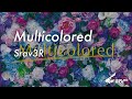 Srav3R - Multicolored