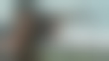 The PTR 91, the USA Made Copy of the HK G3 "No, we have a G3 at home"